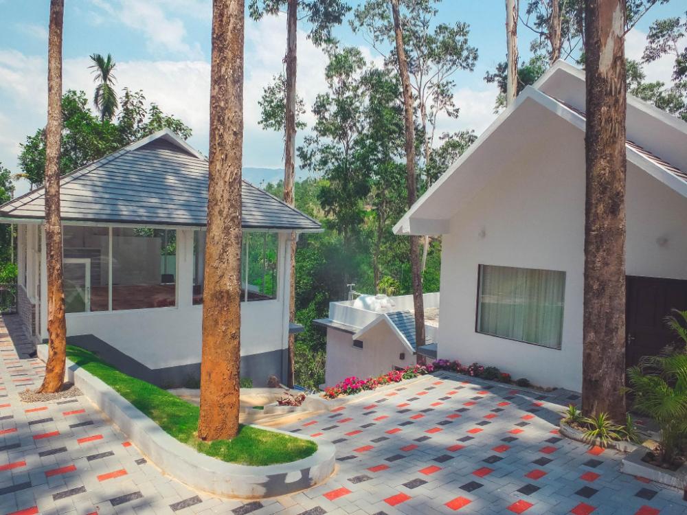 eucalyptus resort munnar