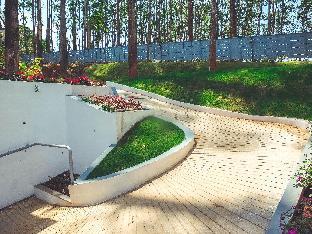 eucalyptus resort munnar