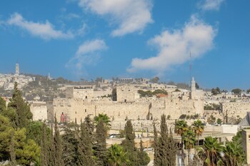 king david court isrentals