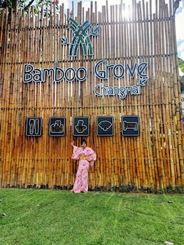 bamboo grove chiang mai