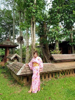 bamboo grove chiang mai