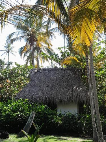playa pikua ecolodge