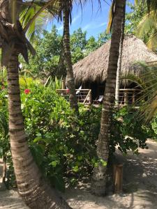 playa pikua ecolodge