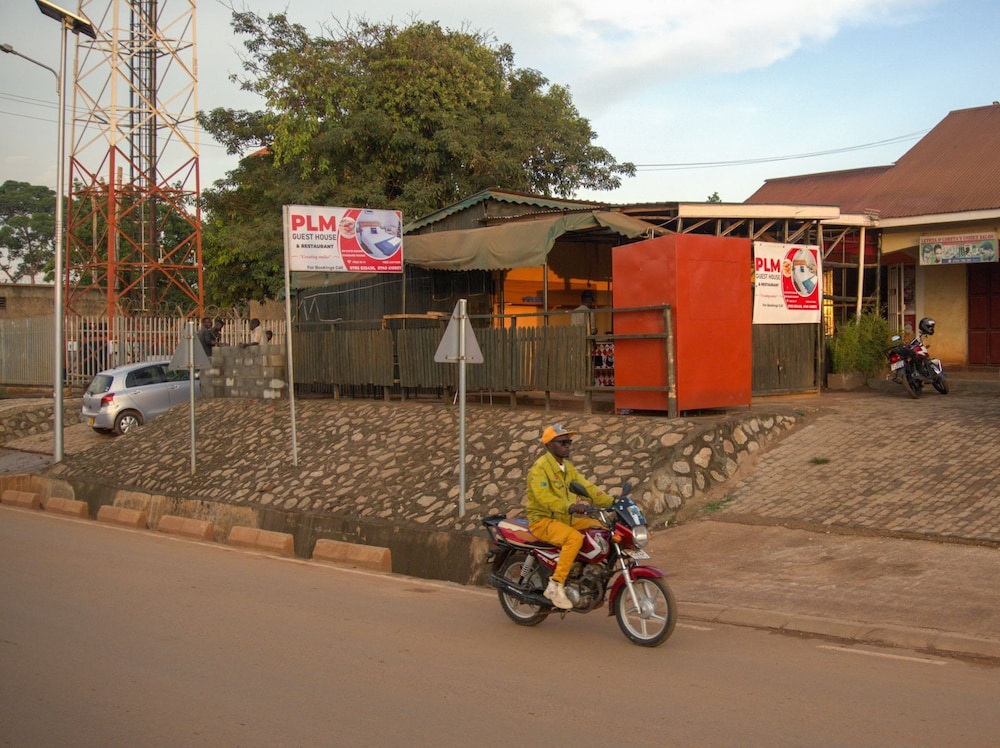 palm gardens and guest house