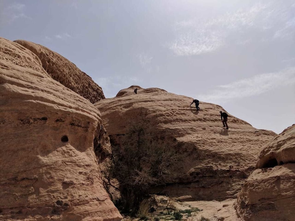 bedouin roads camp