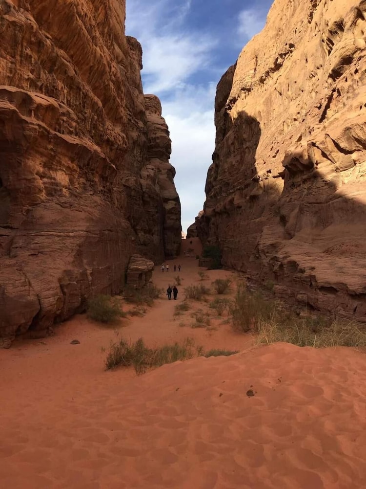 bedouin roads camp