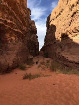 bedouin roads camp