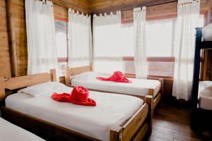 hostal sierra minca