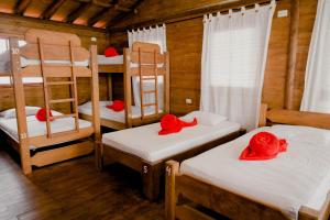 hostal sierra minca