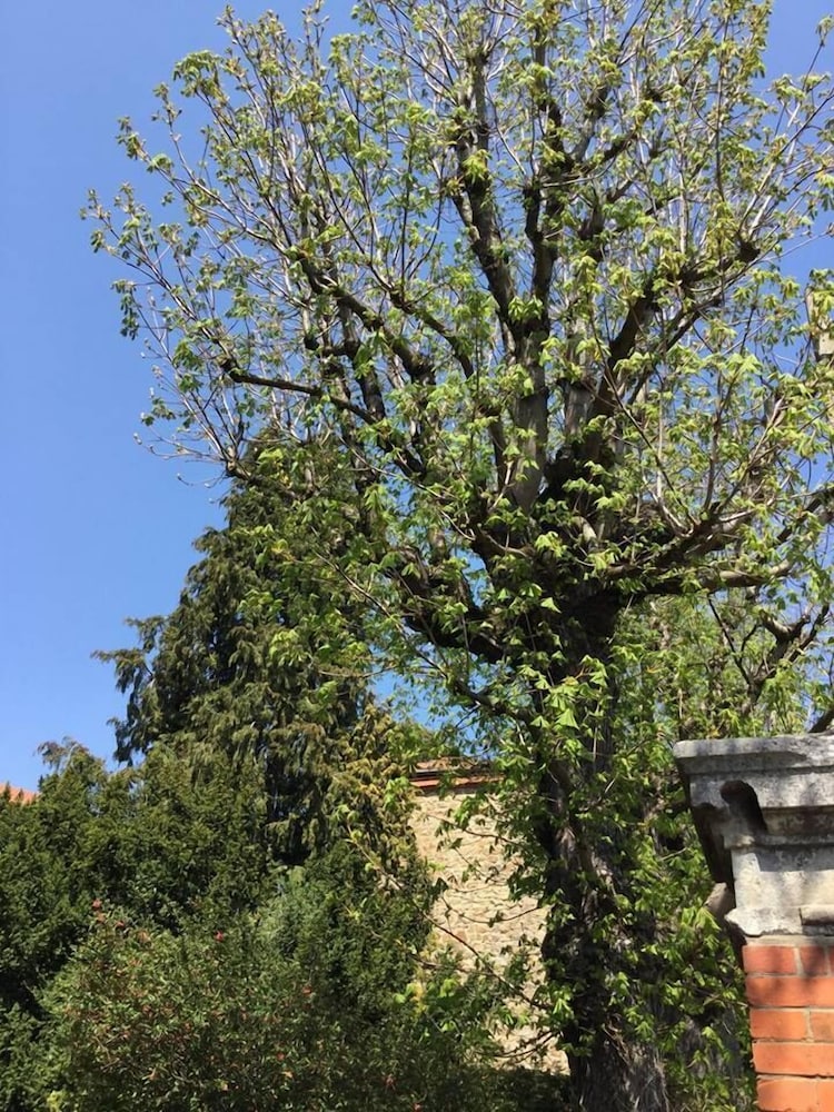 saint didier en velay