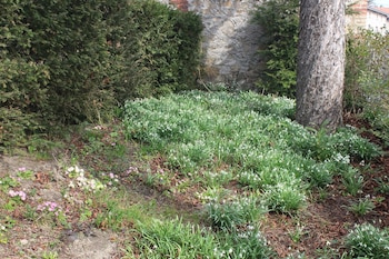 saint didier en velay