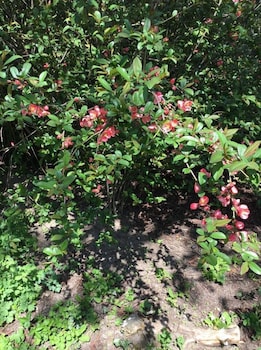 saint didier en velay