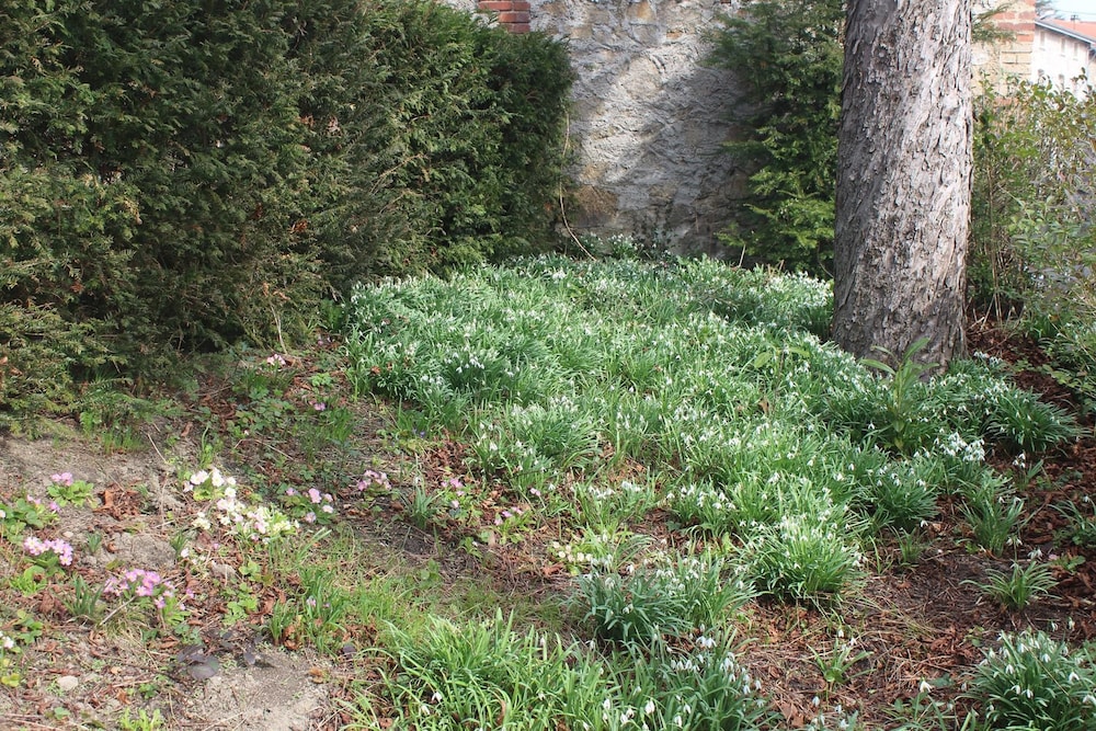 saint didier en velay