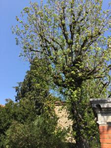 saint didier en velay