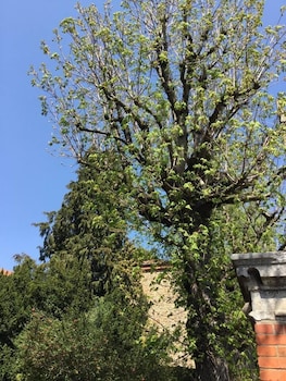 saint didier en velay