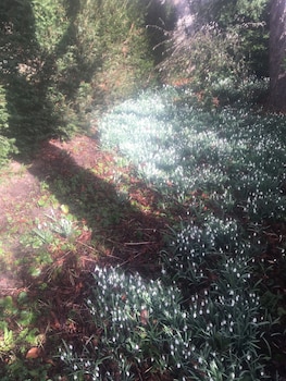 saint didier en velay