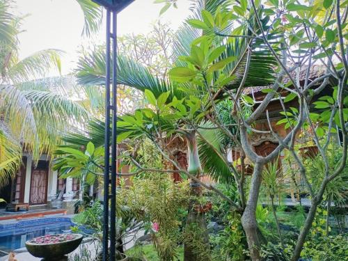 green palace homestay