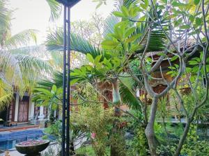 green palace homestay