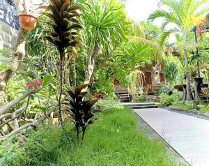 green palace homestay