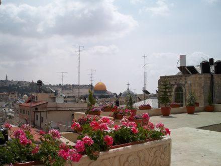 hashimi hotel