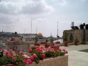 hashimi hotel