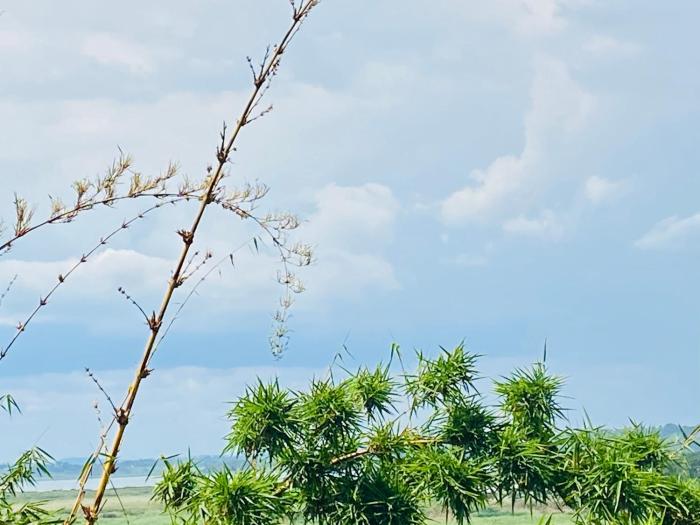 crystal hotel apartments entebbe