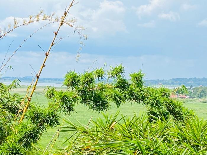 crystal hotel apartments entebbe