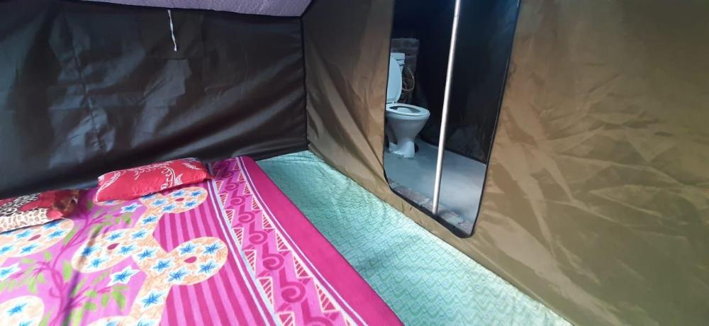 Pine Hills Nature Camp,Shimla>>Mashobra,3 star