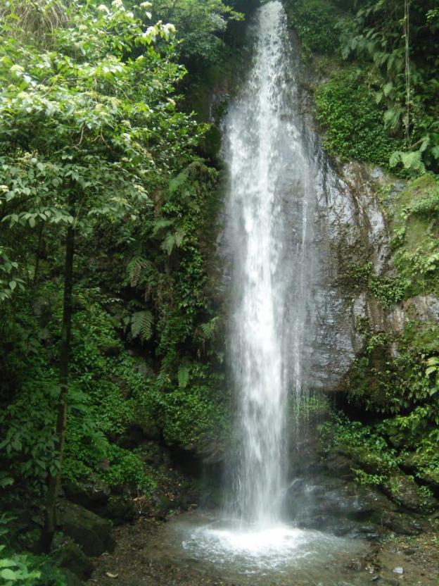 pine hills nature camp