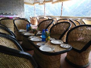 pine hills nature camp