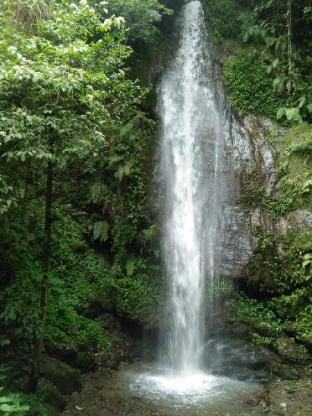 pine hills nature camp