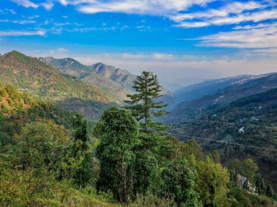 Pine Hills Nature Camp,Shimla>>Mashobra,3 star