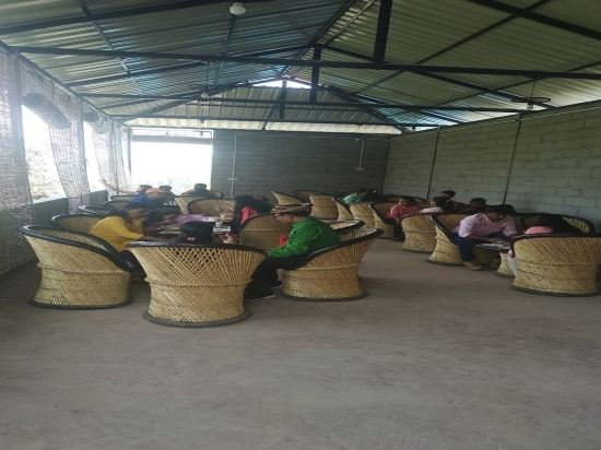 pine hills nature camp