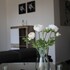 rezidence moser apartments