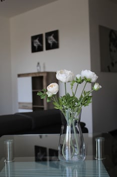 rezidence moser apartments