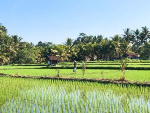 mana earthly paradise hostel