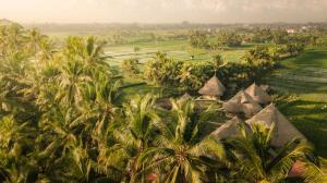 mana earthly paradise hostel