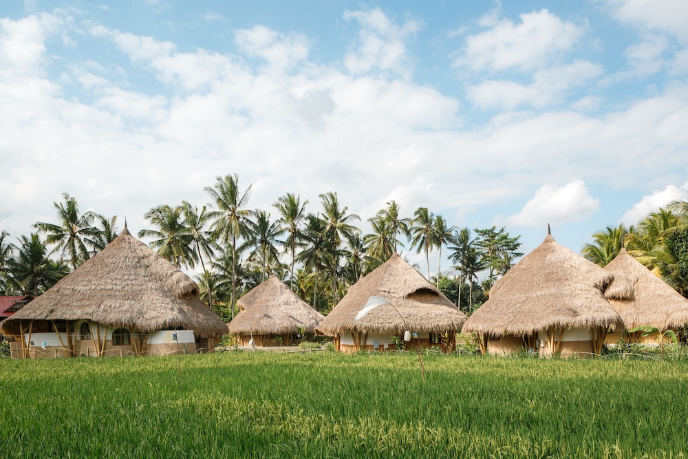 mana earthly paradise hostel