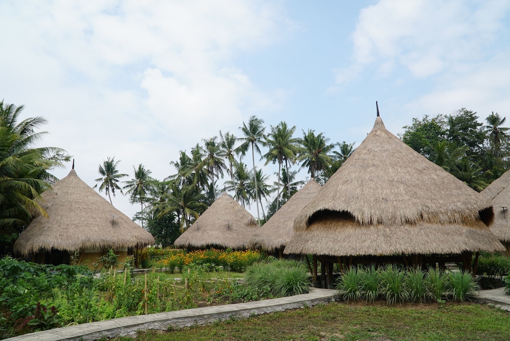 mana earthly paradise hostel