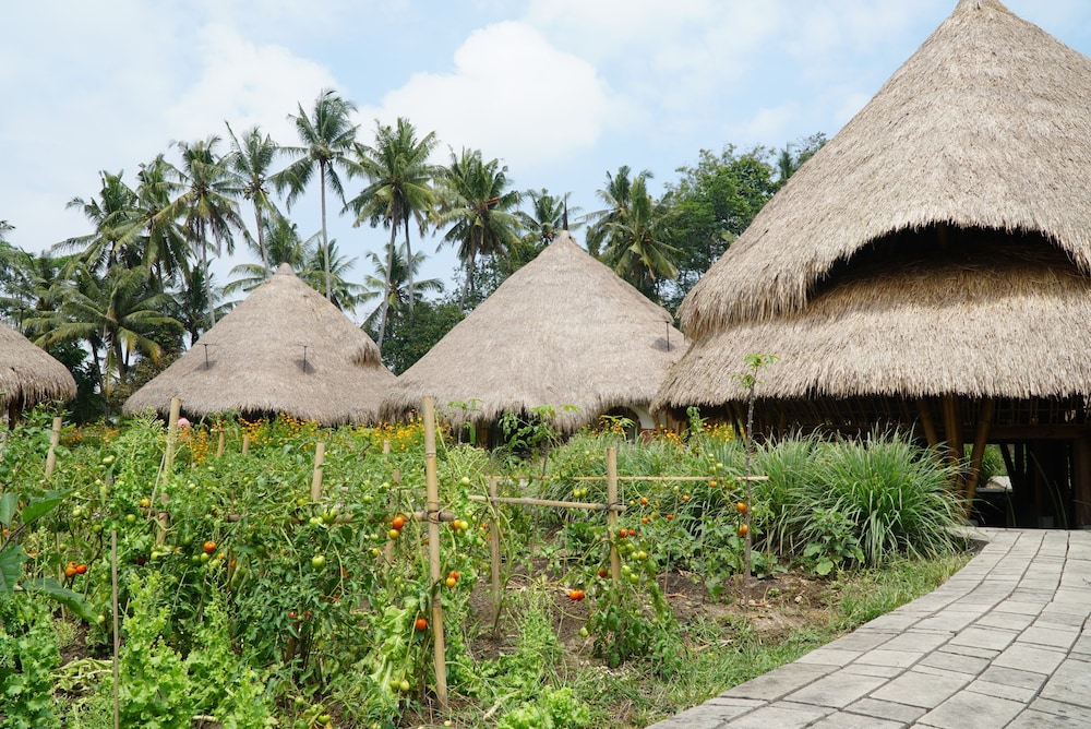 mana earthly paradise hostel