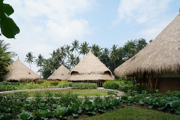 mana earthly paradise hostel