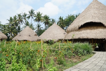 mana earthly paradise hostel