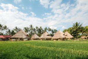 mana earthly paradise hostel