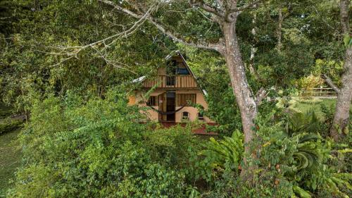 finca ecologica el maco