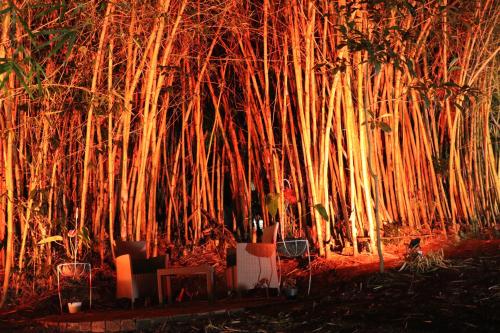 finca ecologica el maco