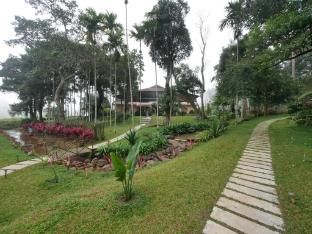 the windchimes retreat