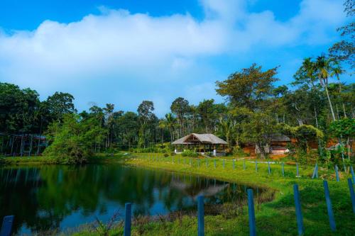 the windchimes retreat
