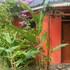 white castle hotel arua