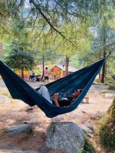 kasol