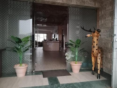 sulawado resort group of holiday eyes